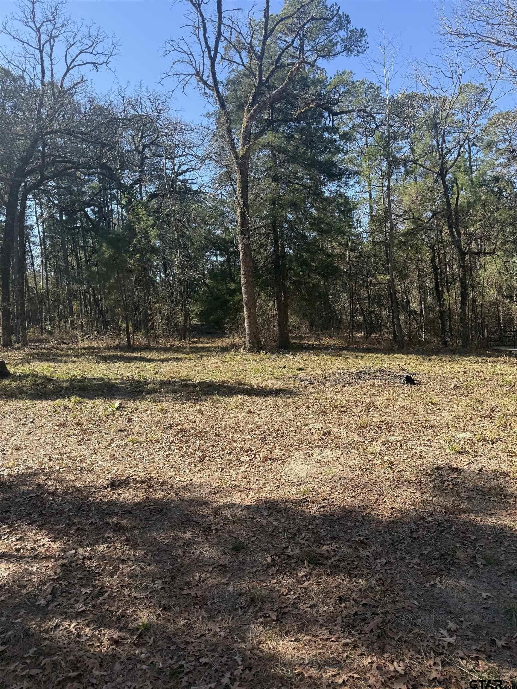2.06 acres in Wood County - photo 9