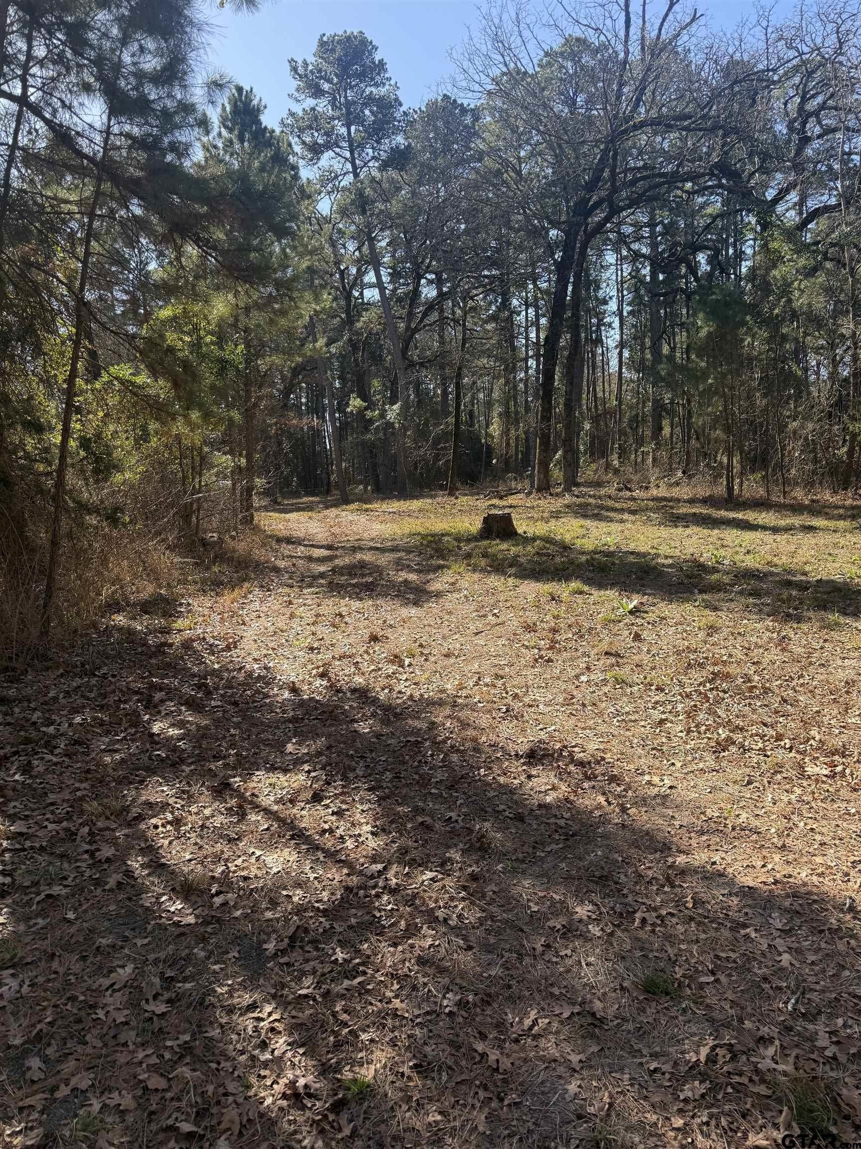 2.06 acres in Wood County - photo 11