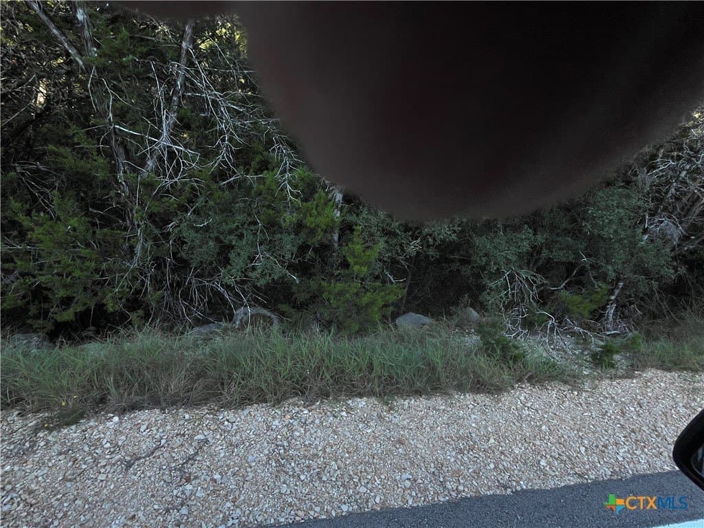 0.8 acres in Comal County gallery image 4