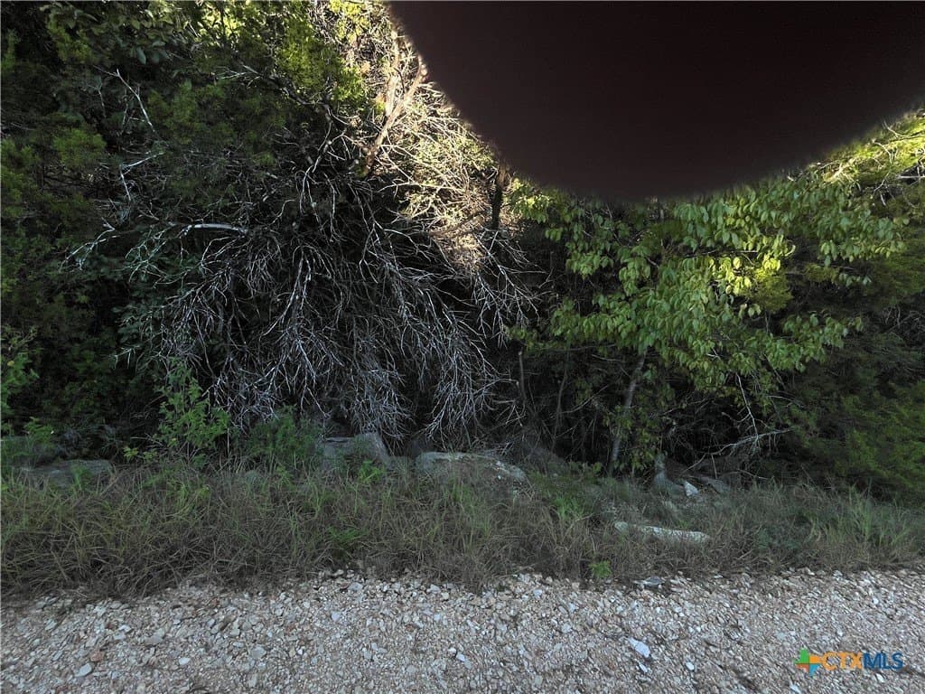 0.8 acres in Comal County gallery image 3