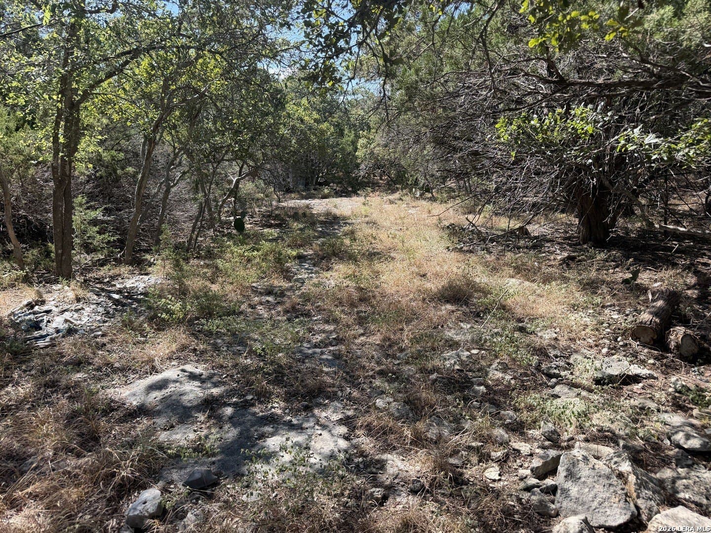 0.23 acres in Comal County - photo 3