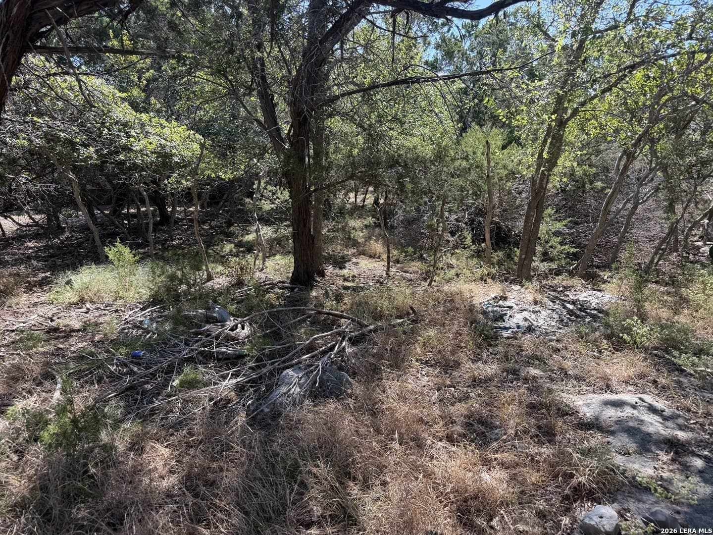 0.23 acres in Comal County - photo 4