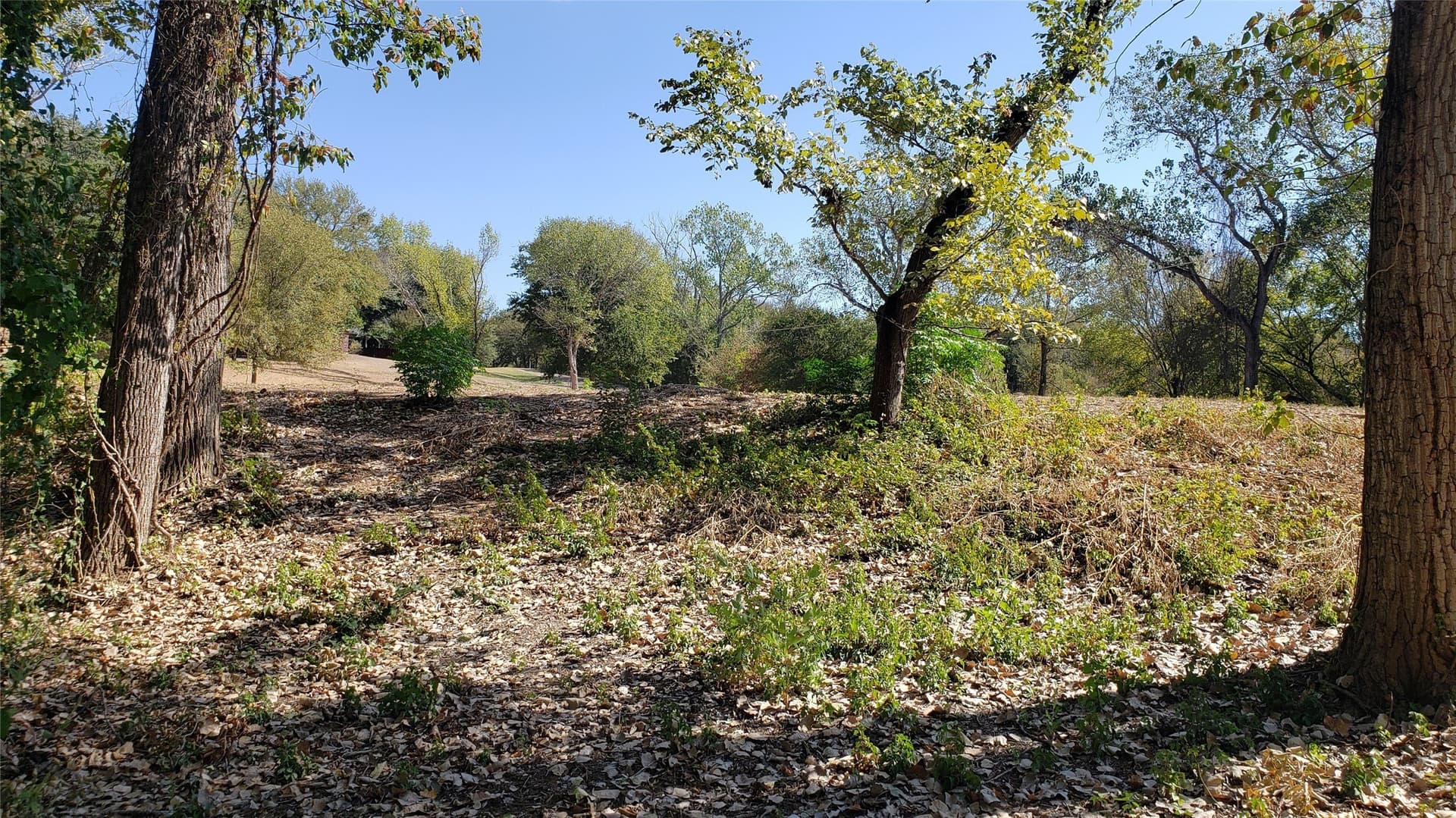 2.77 acres in McLennan County - photo 8