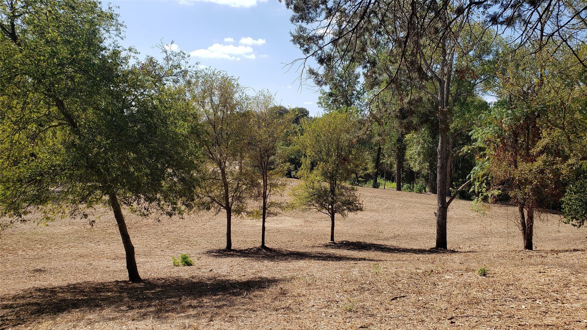2.77 acres in McLennan County - photo 17