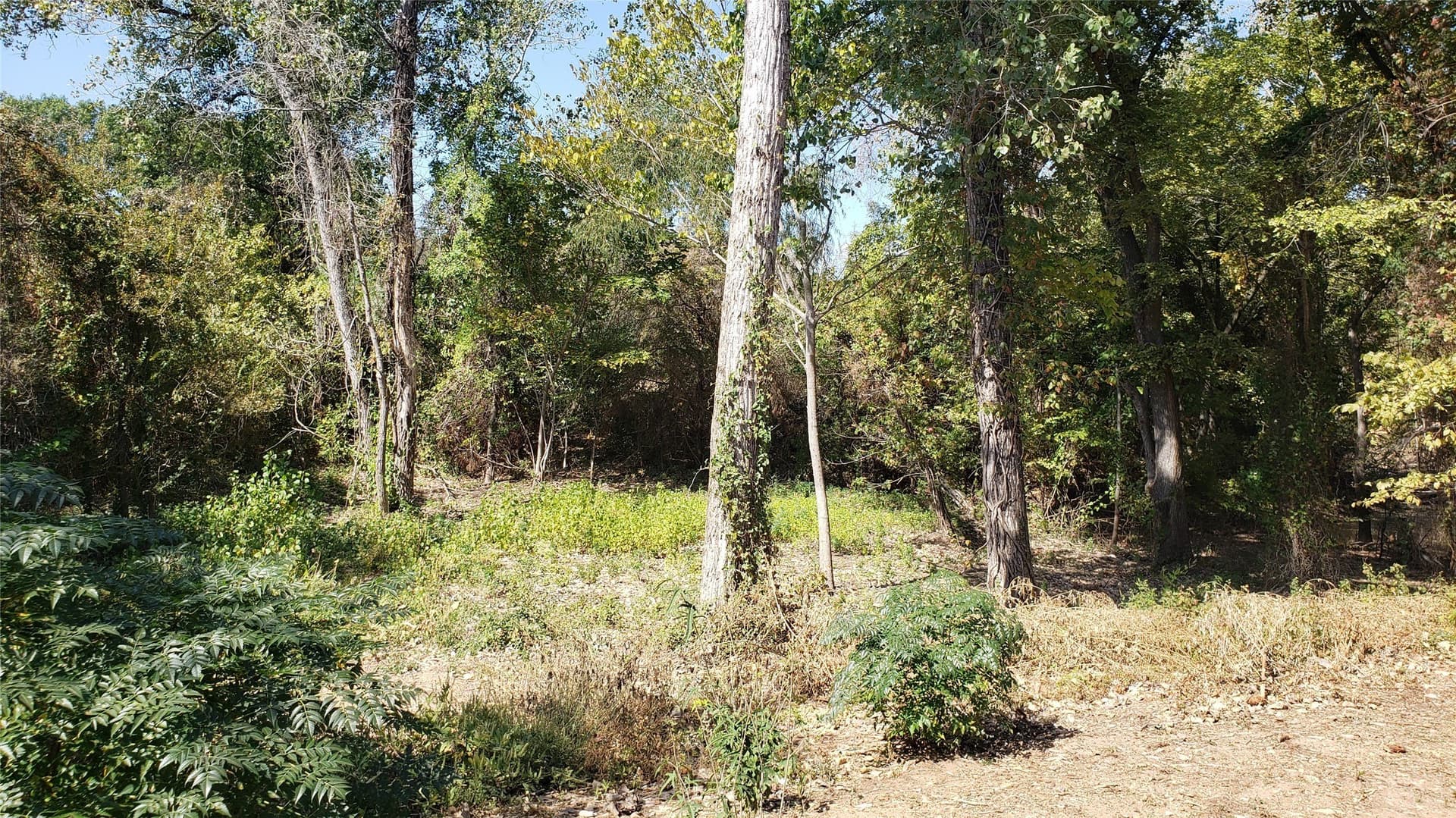 2.77 acres in McLennan County - photo 7