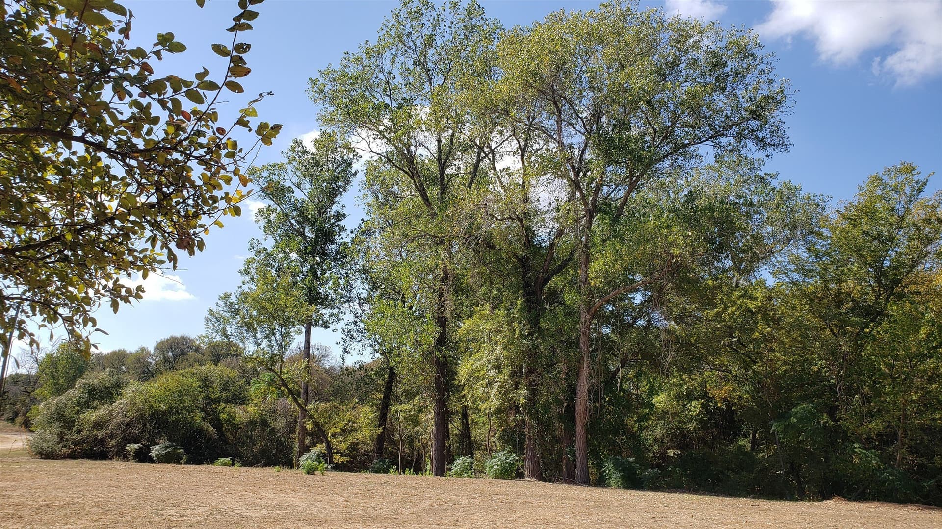 2.77 acres in McLennan County - photo 16