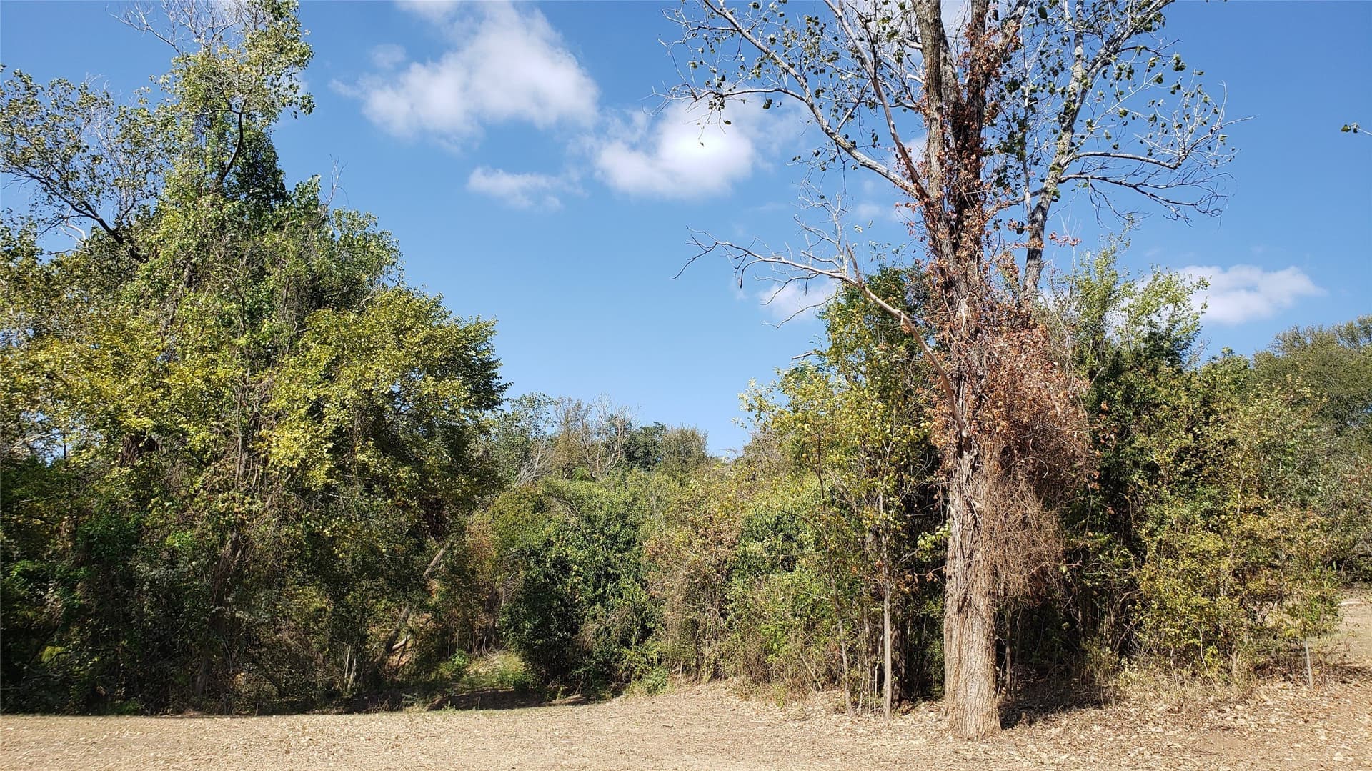 2.77 acres in McLennan County - photo 20