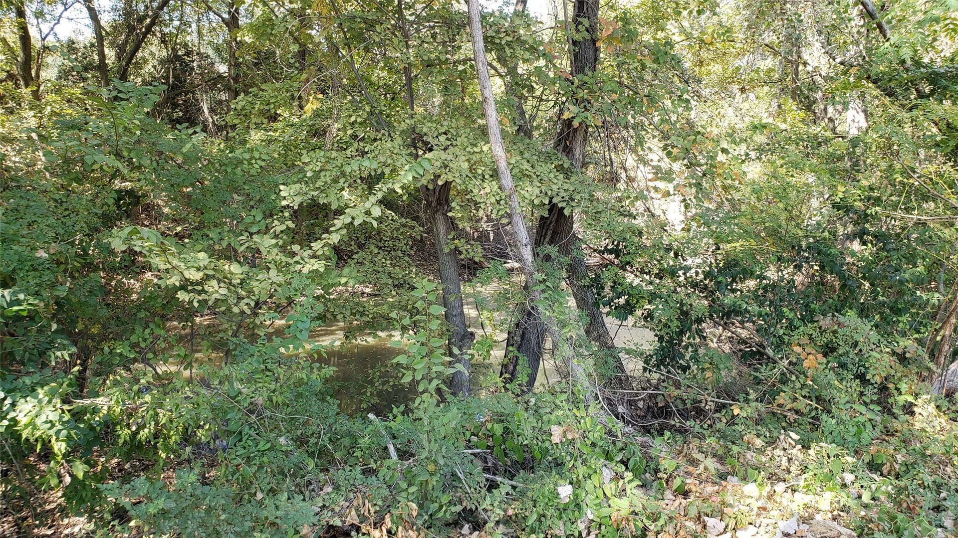 2.77 acres in McLennan County - photo 9