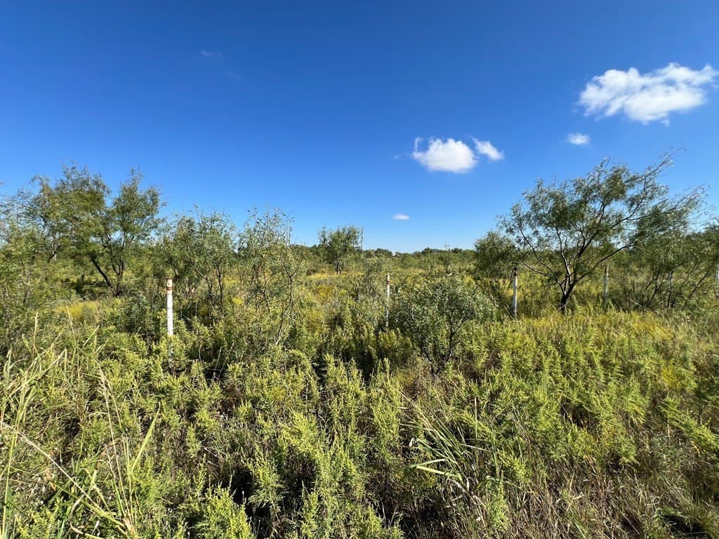 0.91 acres in Tom Green County gallery image 2