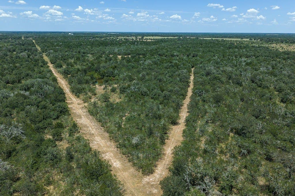 596.54 acres in Gonzales County - photo 9