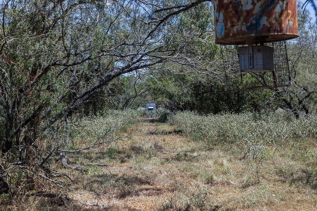 596.54 acres in Gonzales County - photo 22