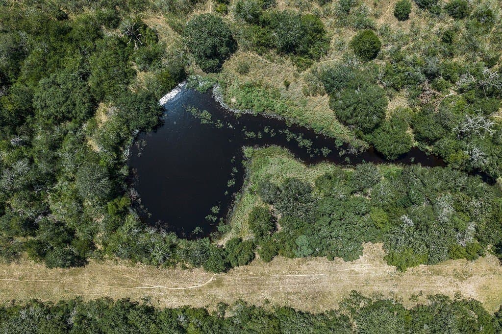 596.54 acres in Gonzales County - photo 8