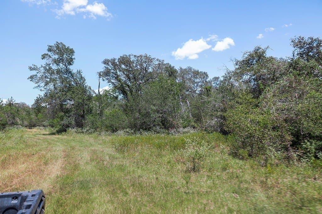 596.54 acres in Gonzales County - photo 19