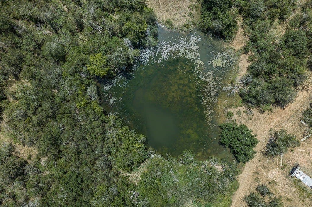 596.54 acres in Gonzales County - photo 7