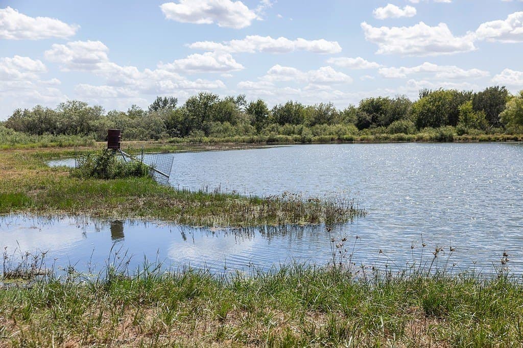 596.54 acres in Gonzales County - photo 13