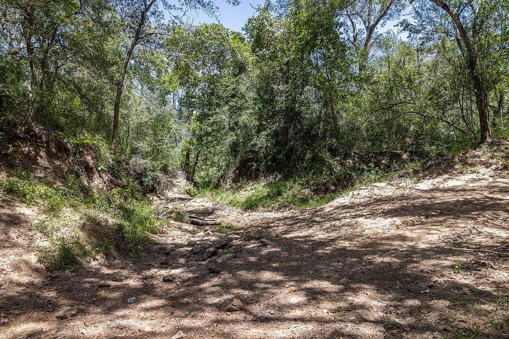 596.54 acres in Gonzales County - photo 20