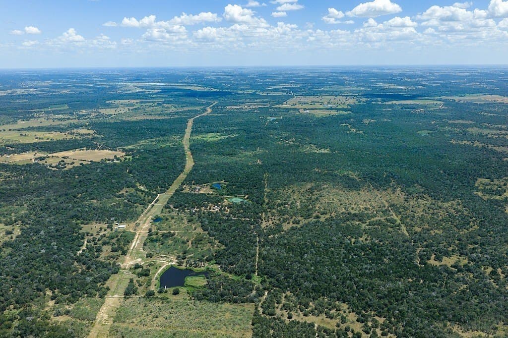 596.54 acres in Gonzales County - photo 6