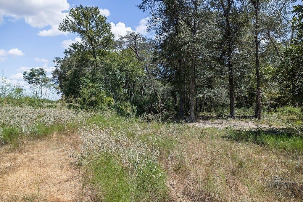 596.54 acres in Gonzales County - photo 14
