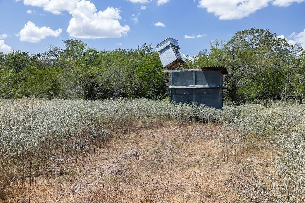 596.54 acres in Gonzales County - photo 17