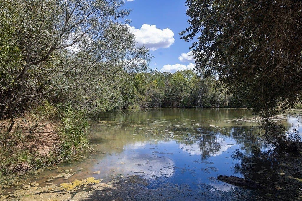 596.54 acres in Gonzales County - photo 15