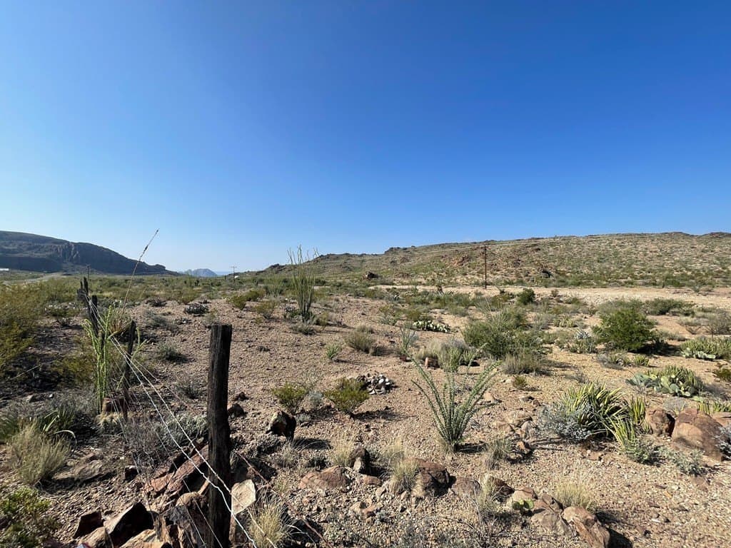 12.42 acres in Brewster County featured view