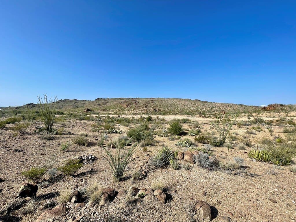 12.42 acres in Brewster County gallery image 4