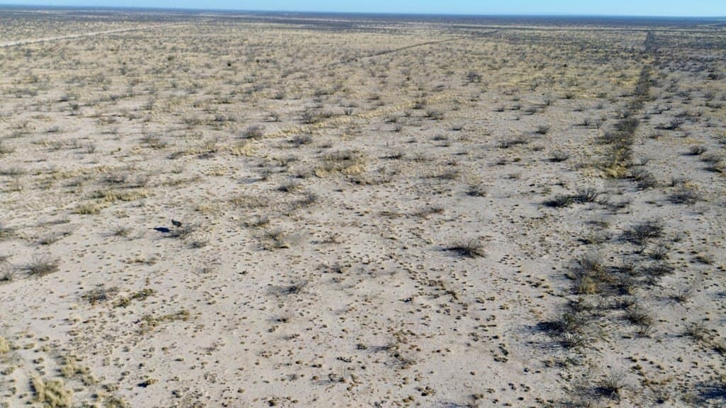 40 acres in Pecos County gallery image 4