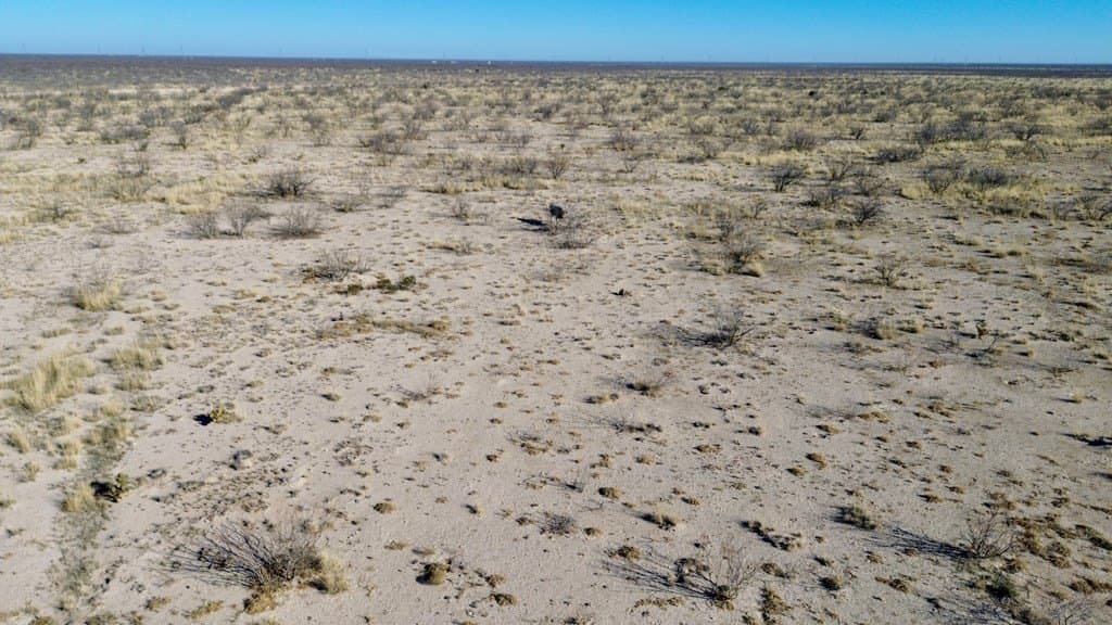 40 acres in Pecos County featured view