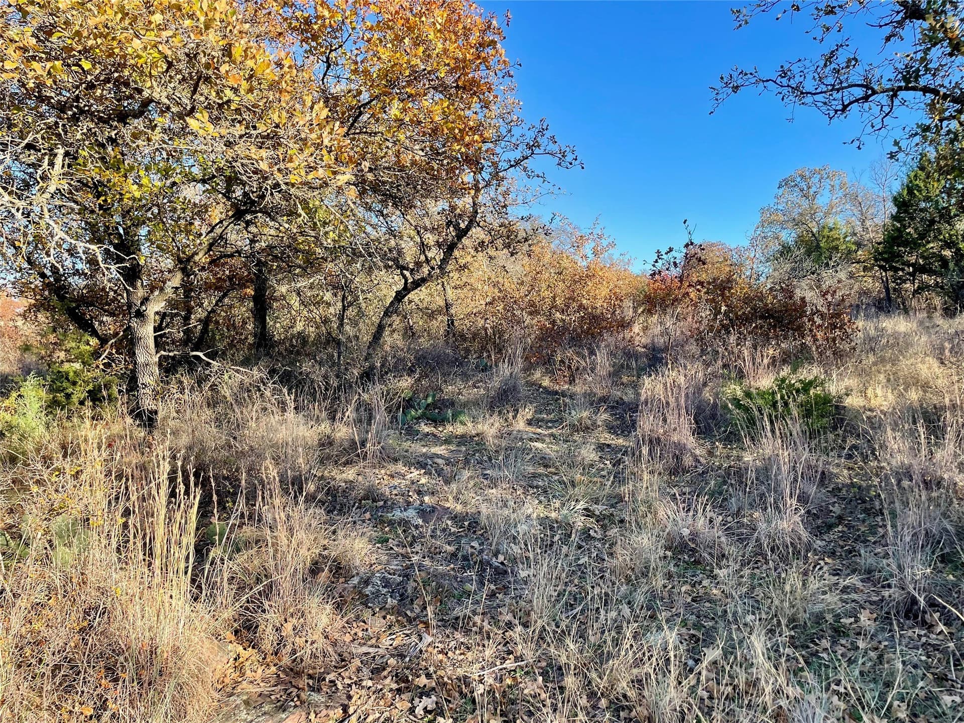 1.08 acres in Eastland County - photo 35