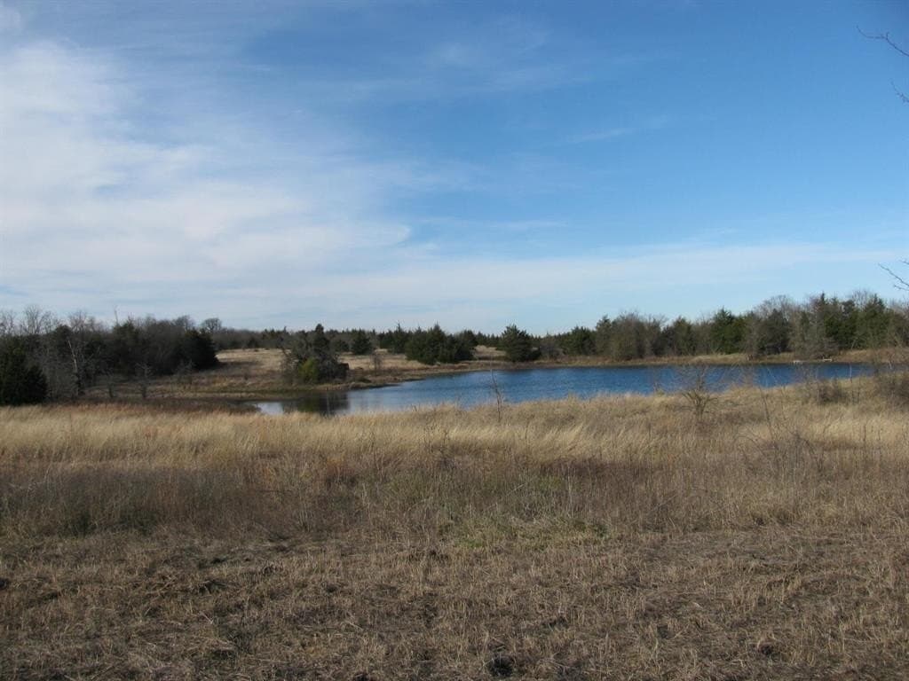 46.1 acres in Fannin County gallery image 3