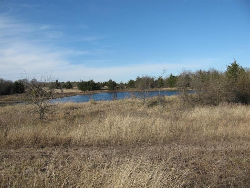 46.1 acres in Fannin County gallery image 4