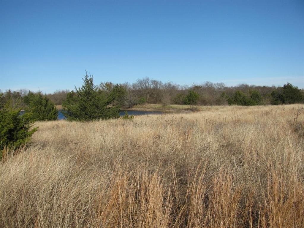 46.1 acres in Fannin County featured view