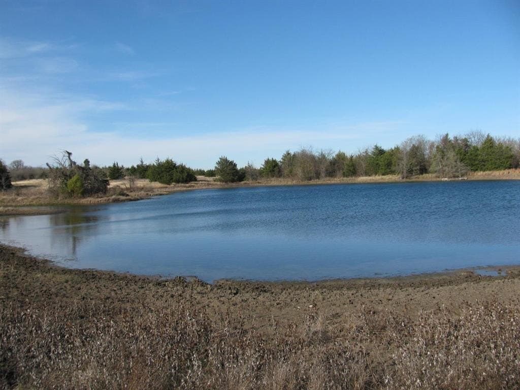 46.1 acres in Fannin County gallery image 2