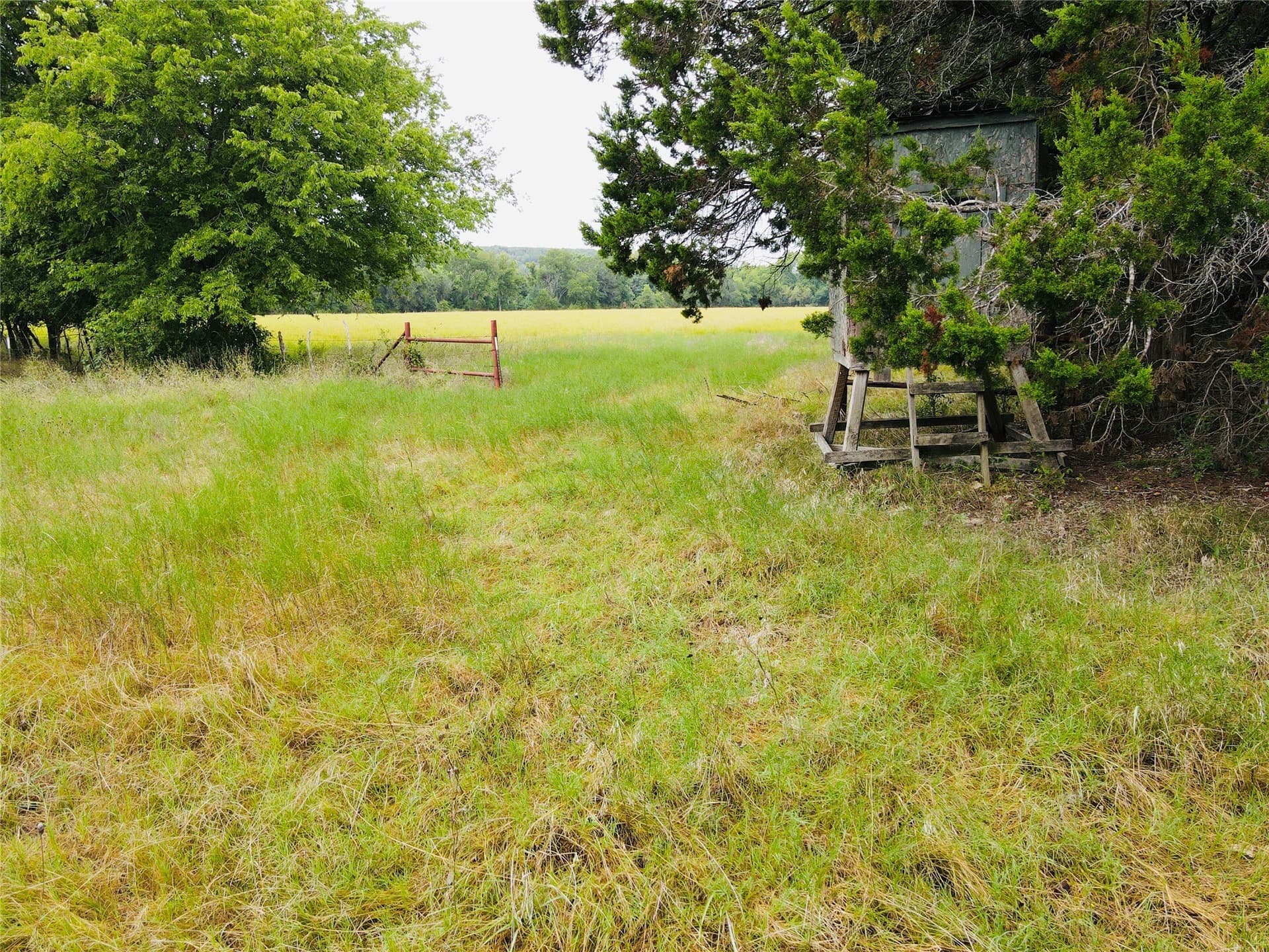 50.48 acres in Coryell County