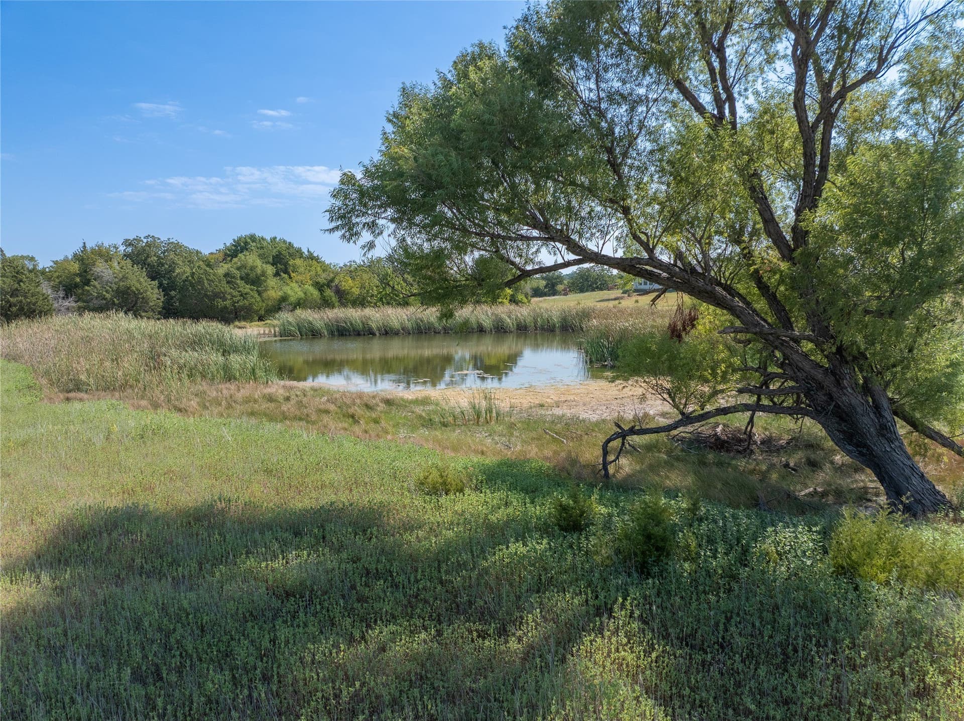 10 acres in Grayson County - photo 8