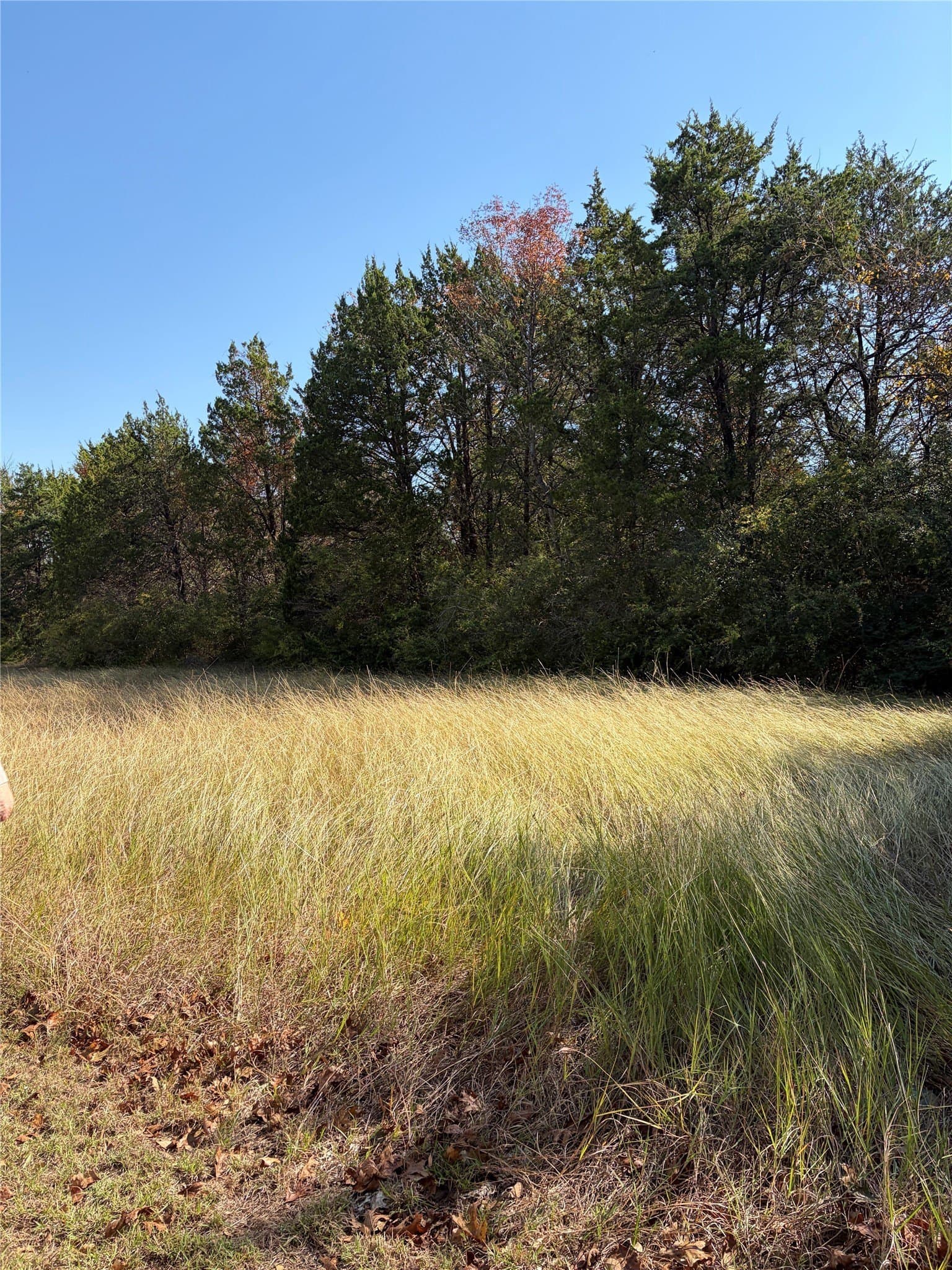 0.91 acres in Dallas County