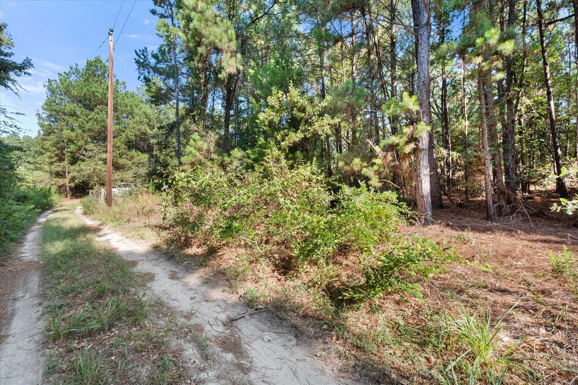 20.13 acres in Henderson County - photo 28