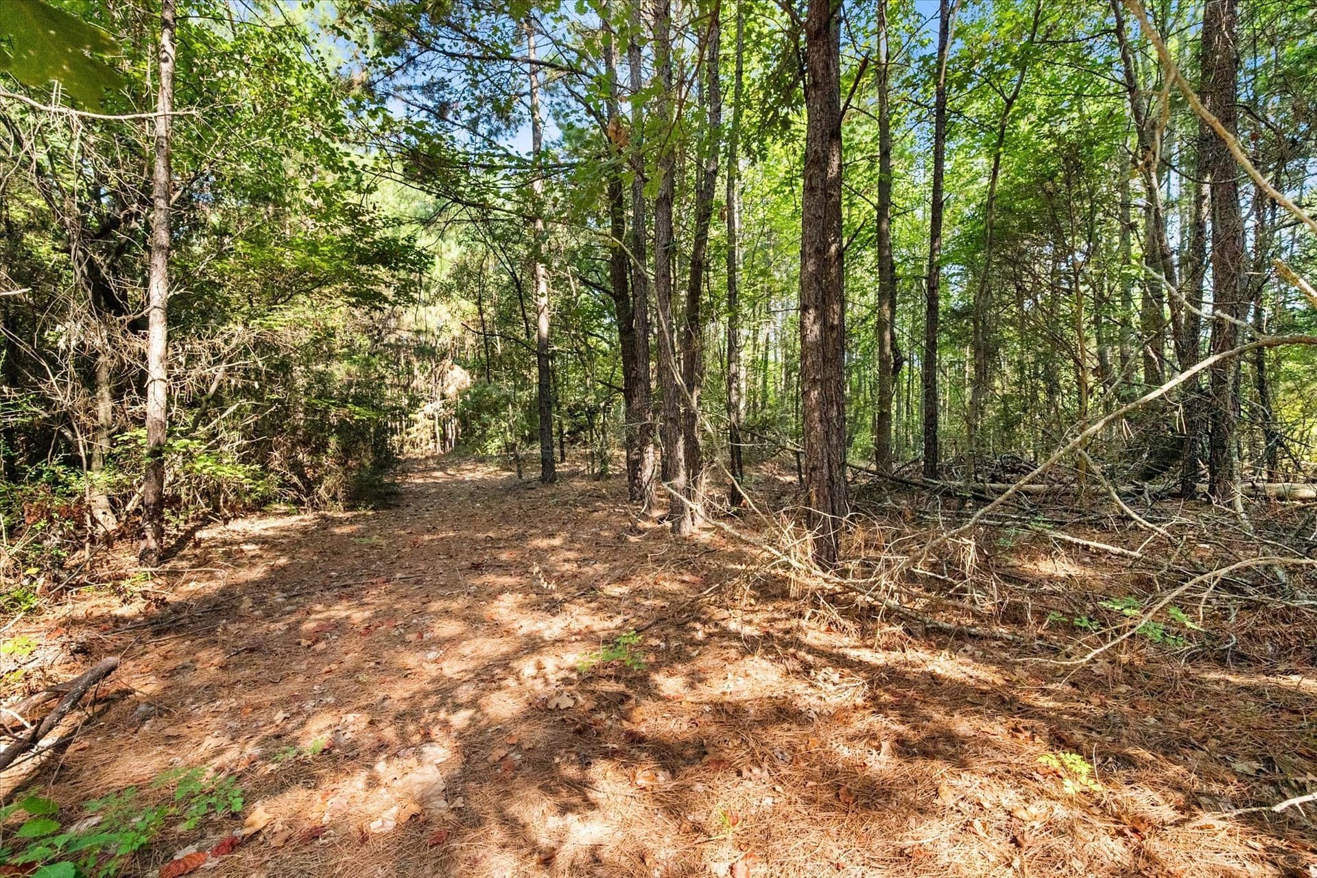 20.13 acres in Henderson County - photo 12