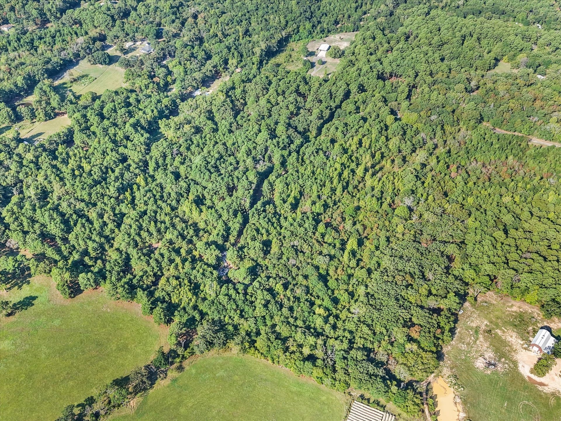 20.13 acres in Henderson County - photo 16