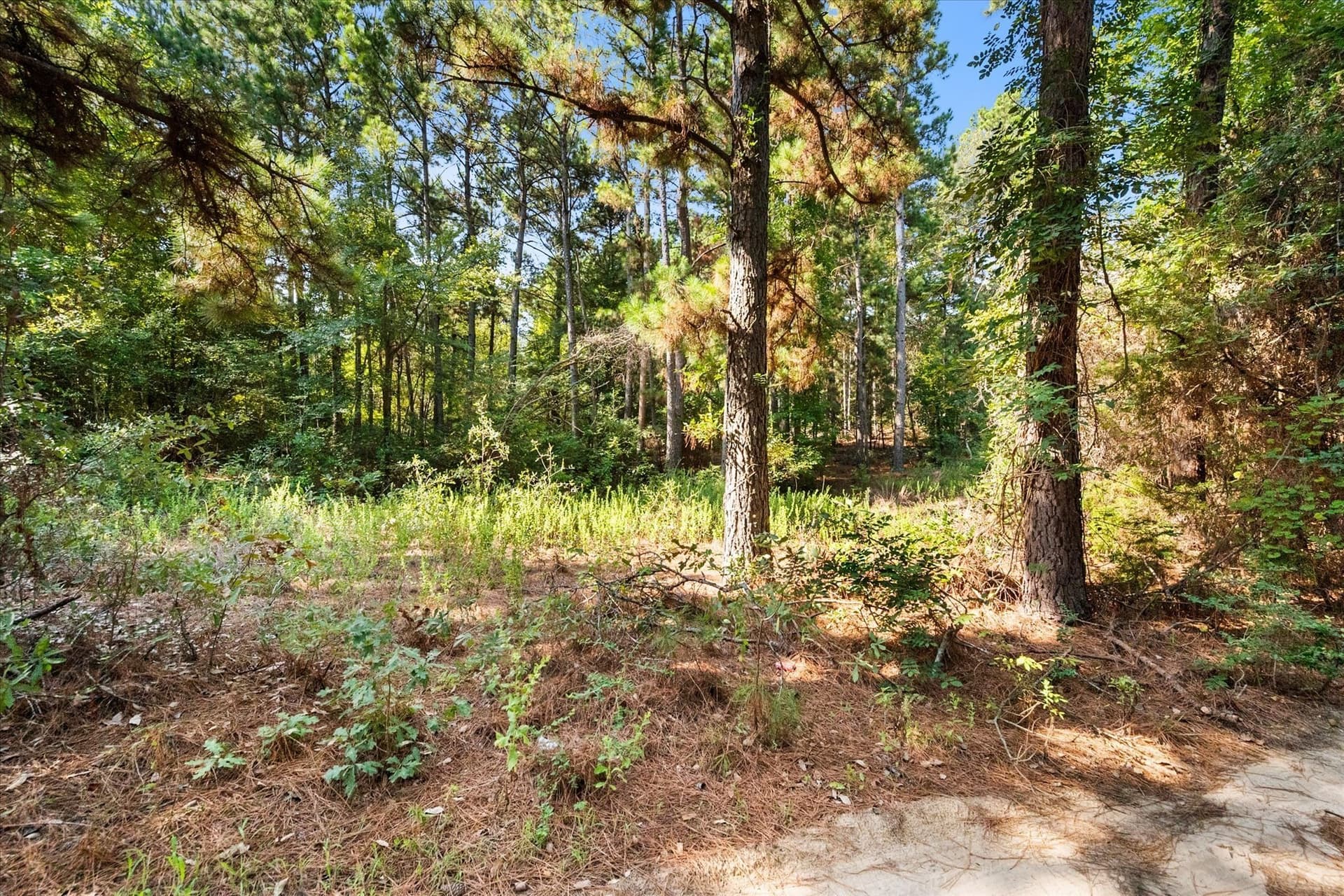 20.13 acres in Henderson County - photo 11