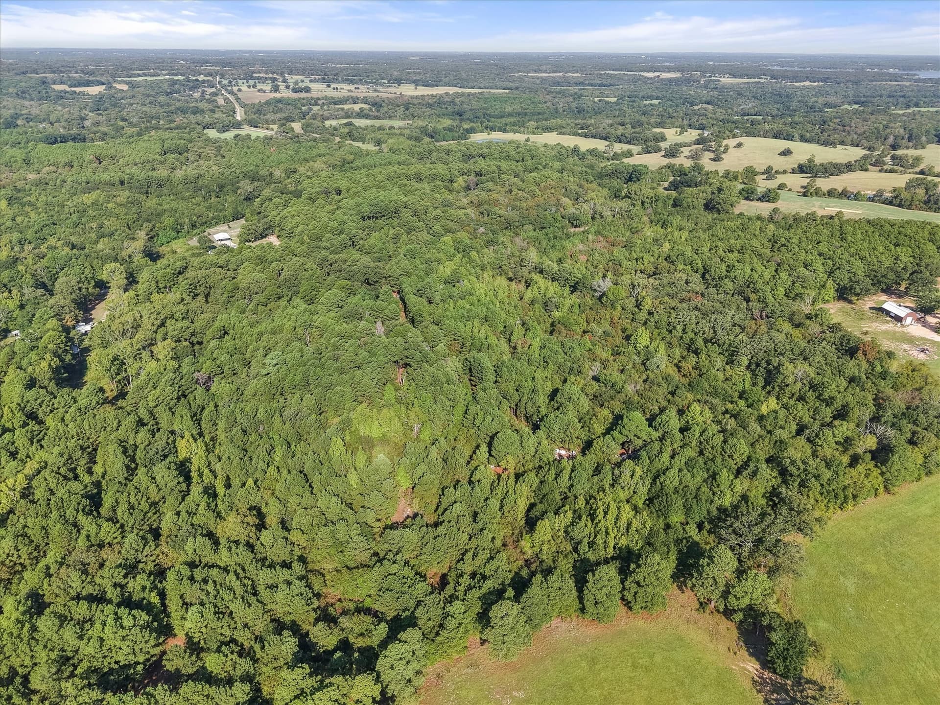 20.13 acres in Henderson County - photo 20