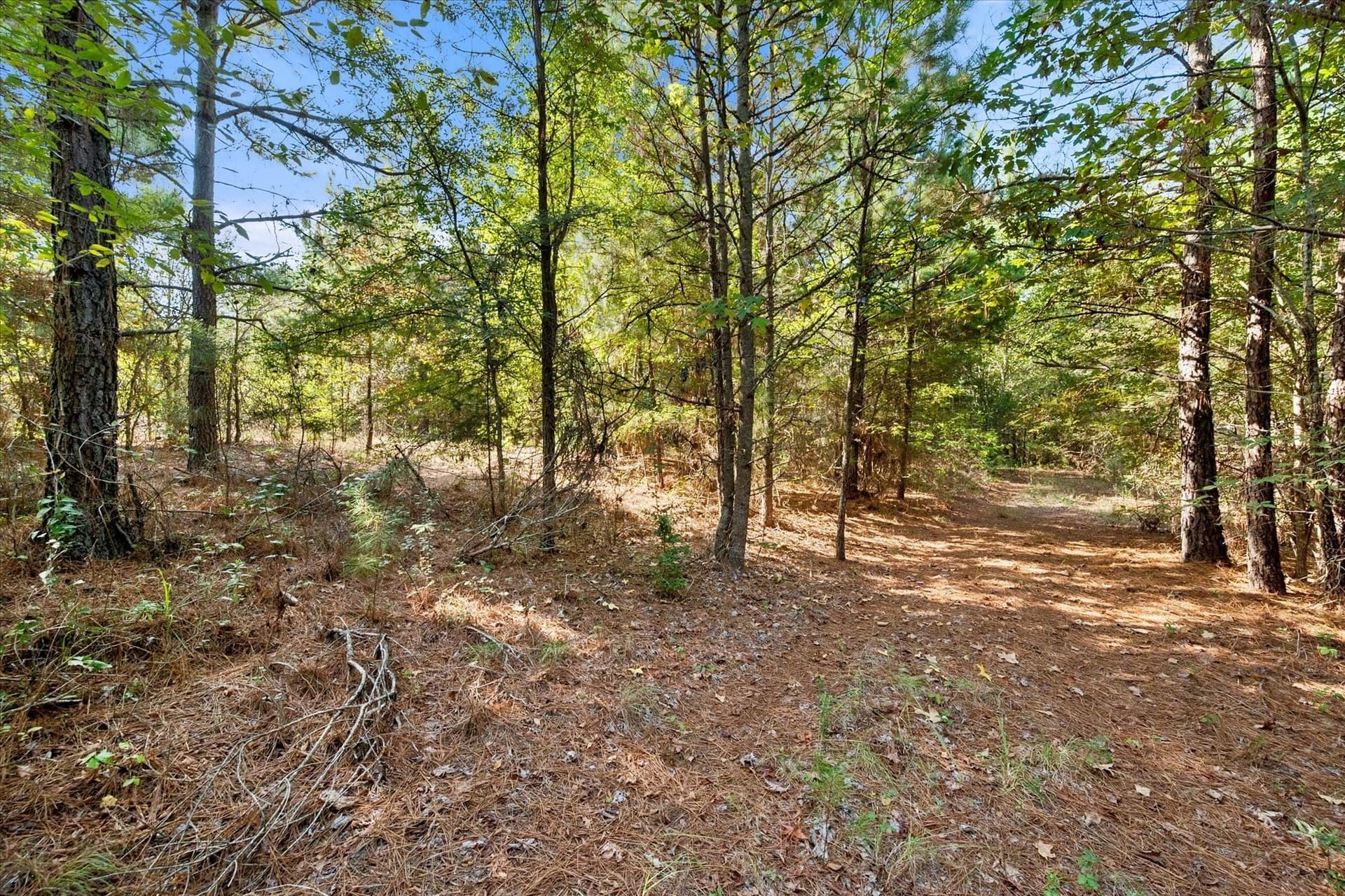 20.13 acres in Henderson County - photo 31