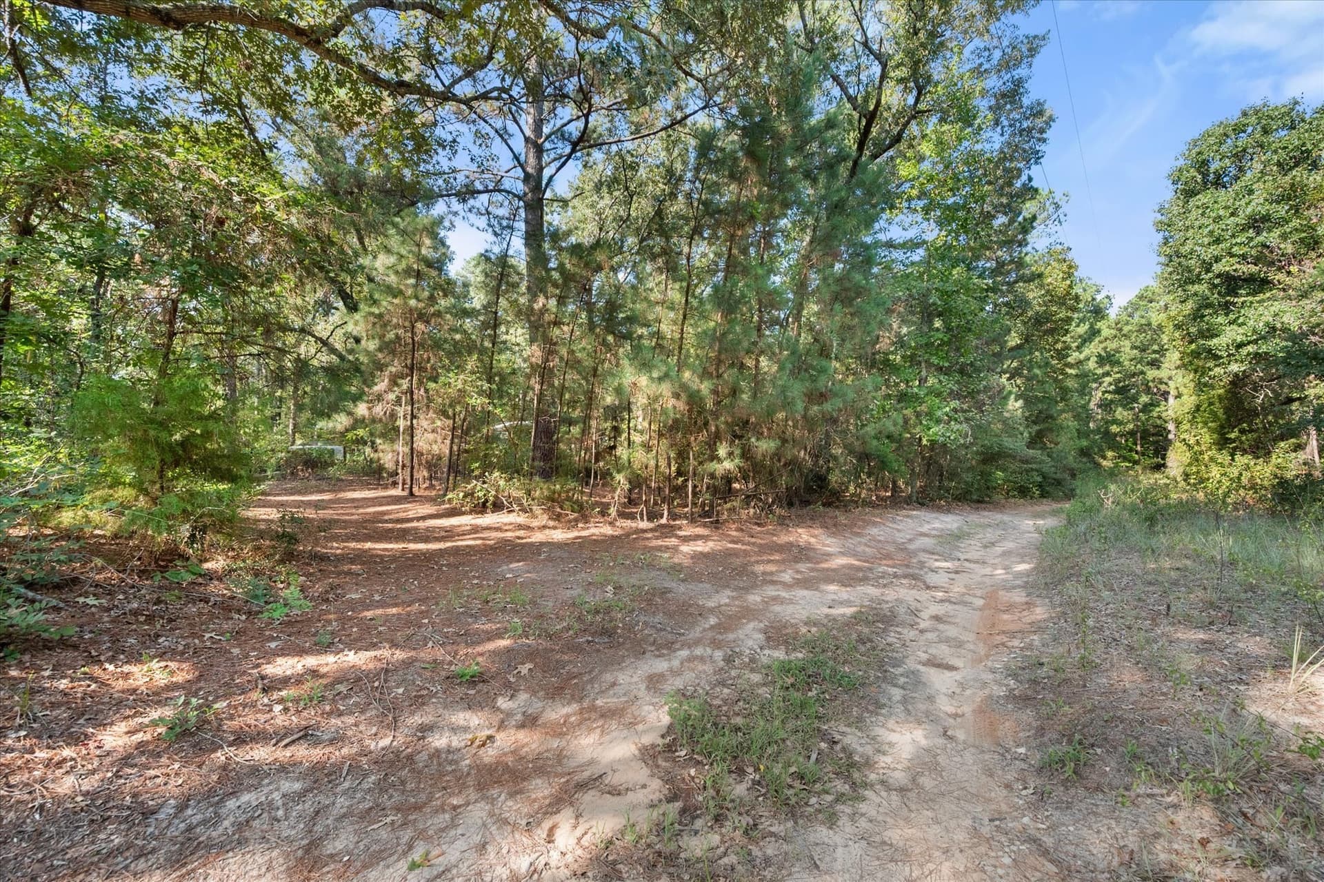 20.13 acres in Henderson County - photo 26