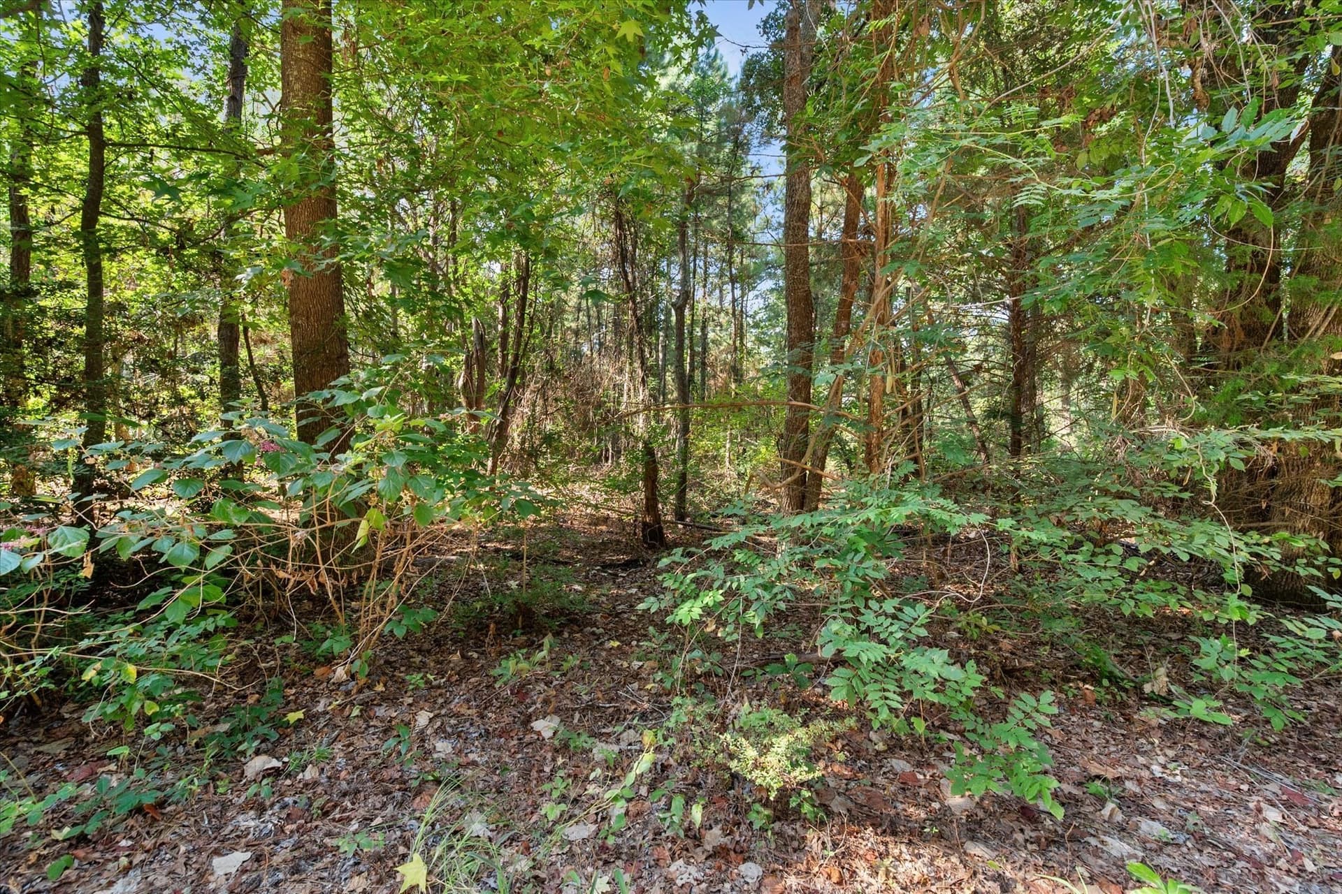 20.13 acres in Henderson County - photo 29
