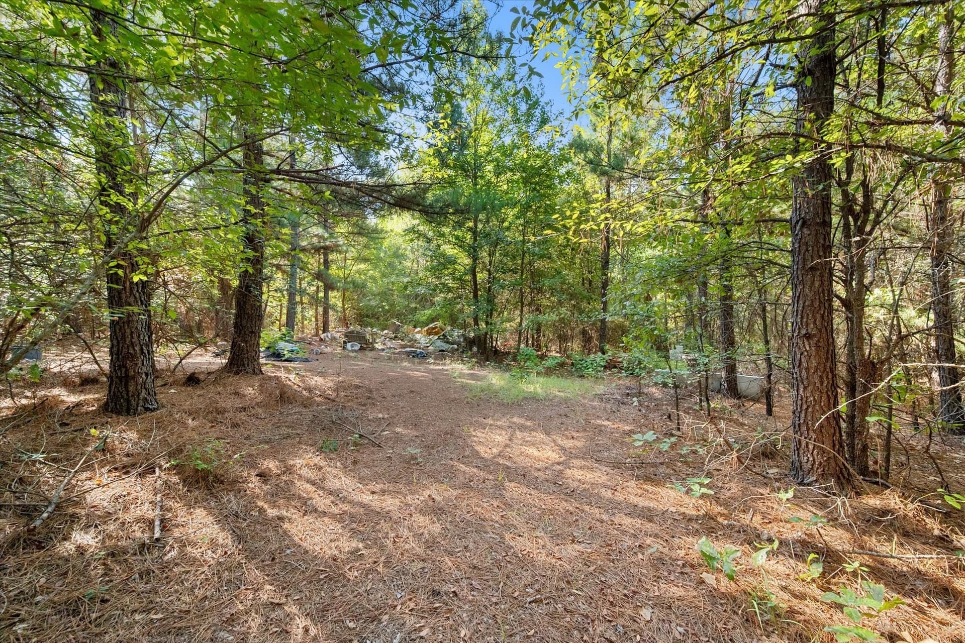 20.13 acres in Henderson County - photo 9