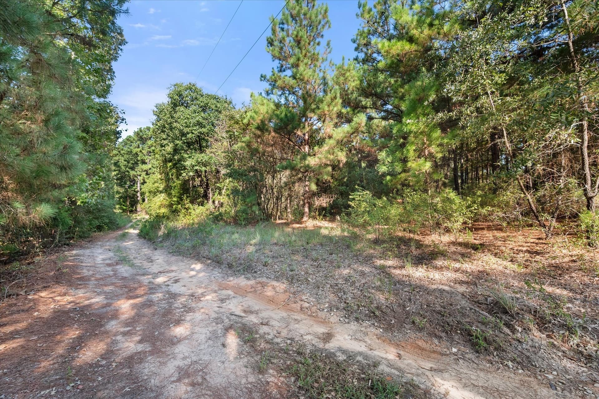 20.13 acres in Henderson County - photo 27