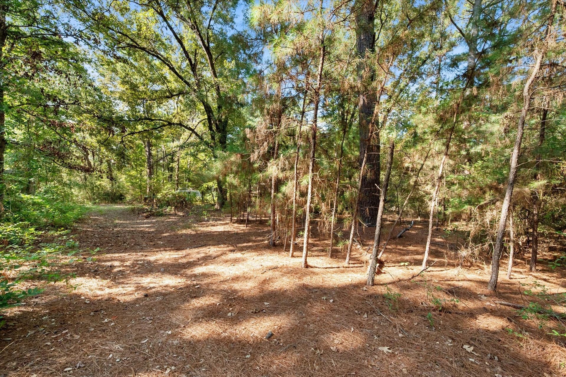 20.13 acres in Henderson County - photo 10