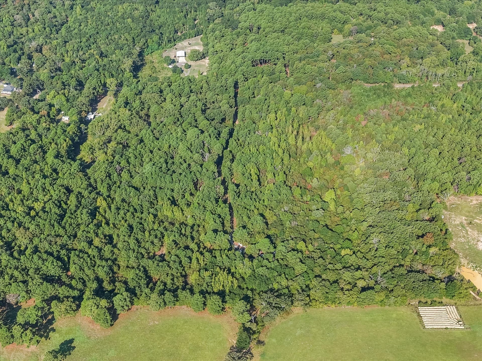 20.13 acres in Henderson County - photo 19