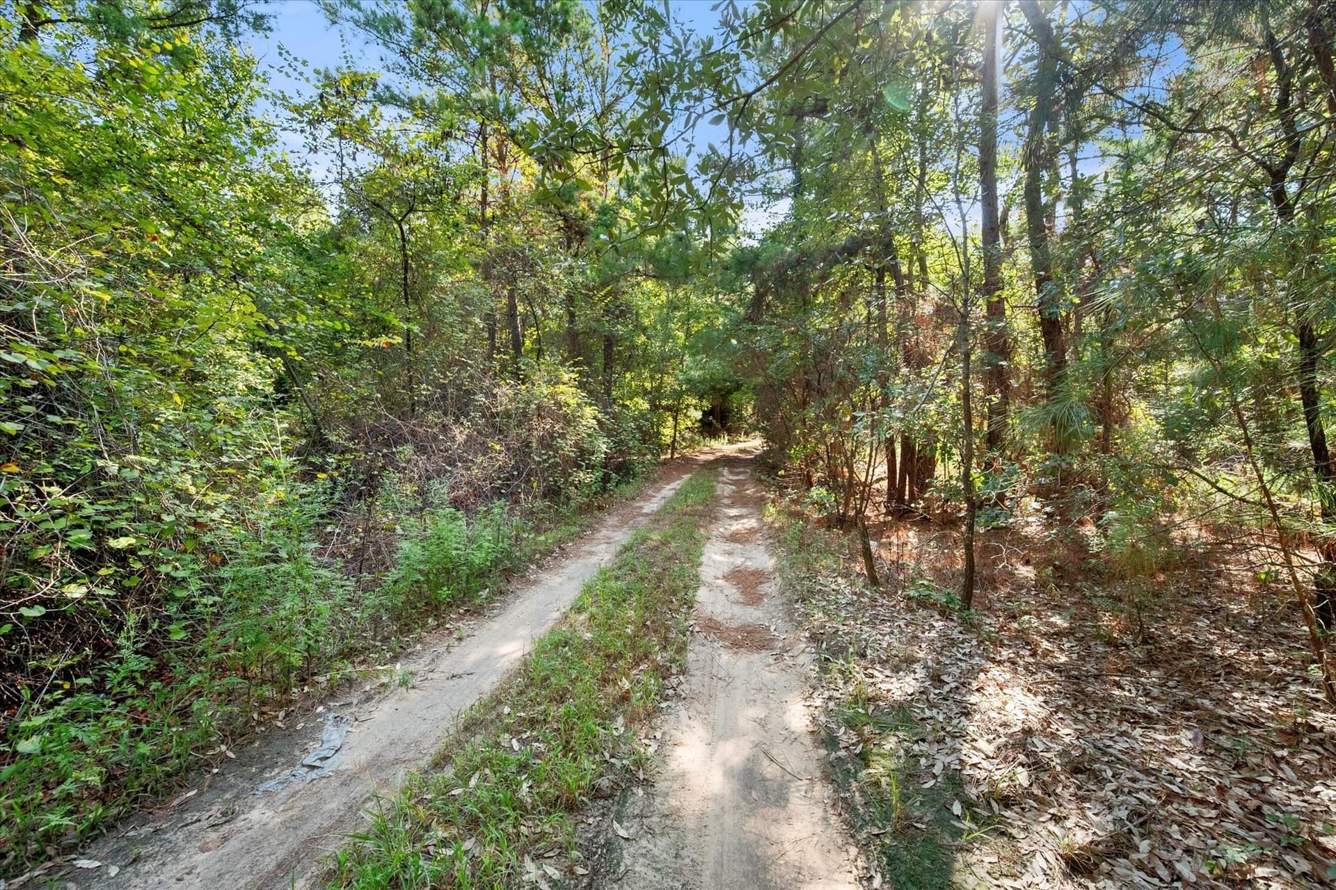 20.13 acres in Henderson County - photo 6