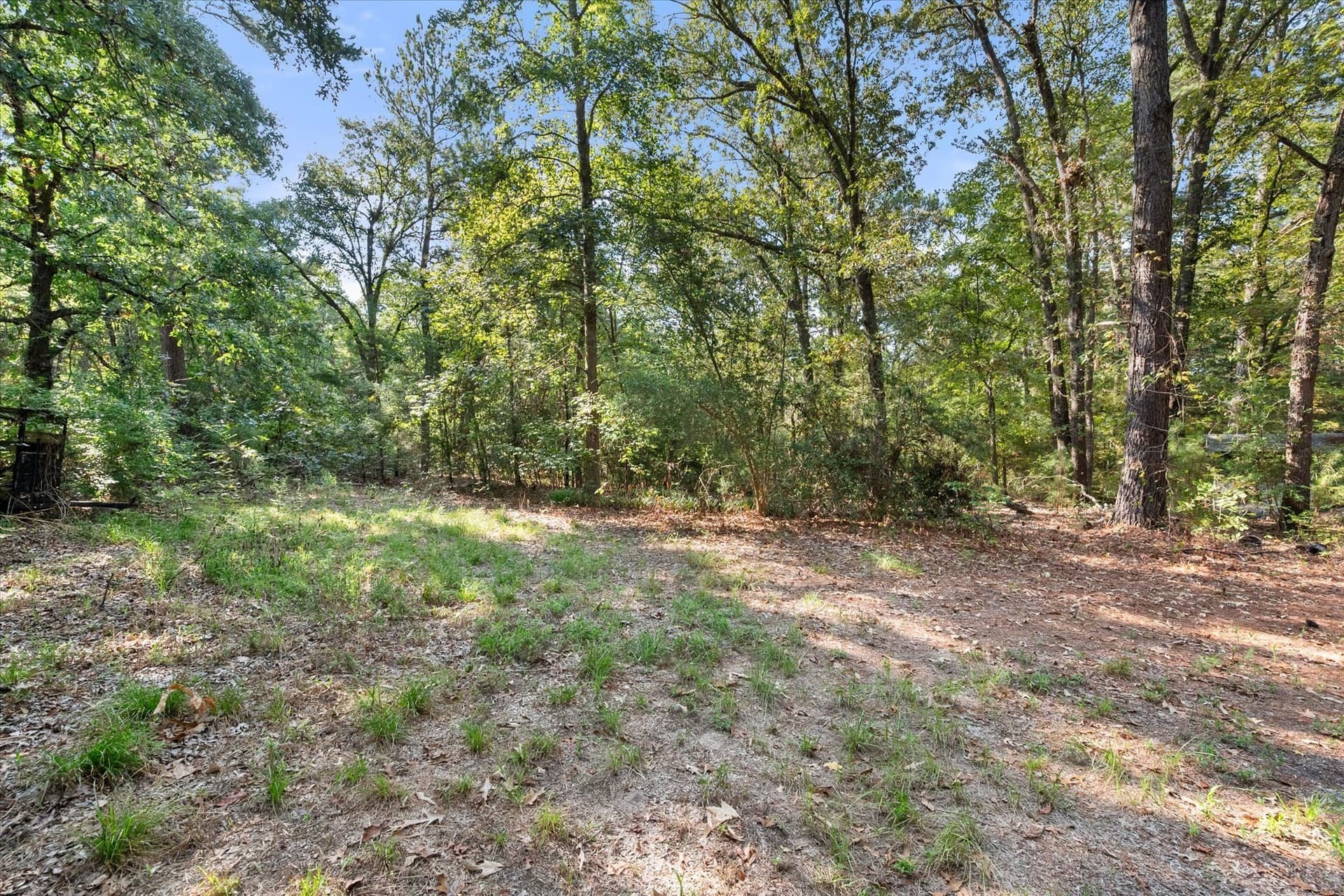 20.13 acres in Henderson County - photo 25